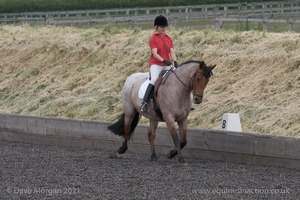 ISIS Dressage Challenge 2008